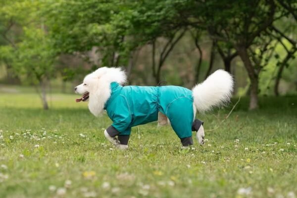 商品图像