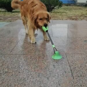 商品图像