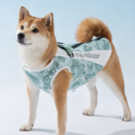 上一个商品图像